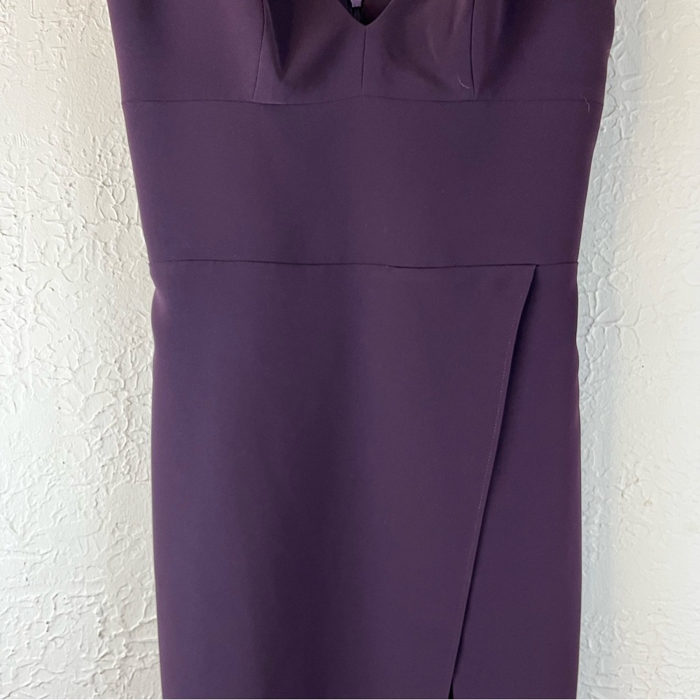 Amanda Uprichard Primrose Mini Dress in Black Cherry - Picture 5 of 13